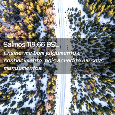 Picture 02 - Salmos 119:66 BSL - Ensine-me bom julgamento e conhecimento, pois - Bible Verse Picture