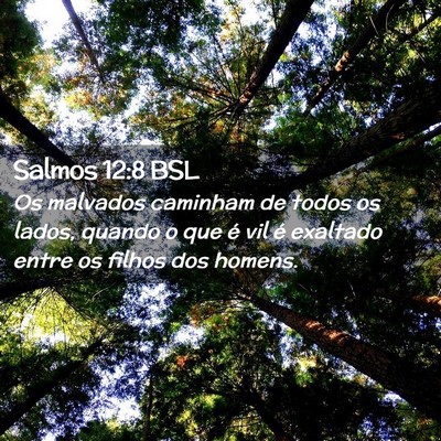 Picture 02 - Salmos 12:8 BSL - Os malvados caminham de todos os lados, quando o - Bible Verse Picture