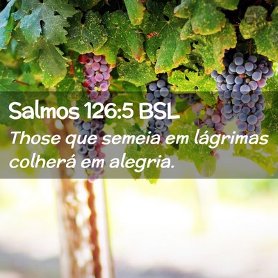 Picture 02 - Salmos 126:5 BSL - Those que semeia em lágrimas colherá em - Bible Verse Picture