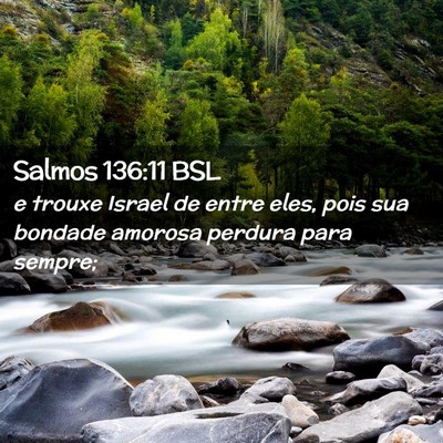Picture 02 - Salmos 136:11 BSL - e trouxe Israel de entre eles, pois sua bondade - Bible Verse Picture