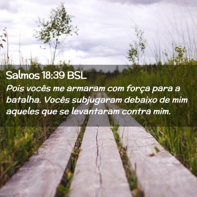 Picture 02 - Salmos 18:39 BSL - Pois vocês me armaram com força para a batalha. - Bible Verse Picture