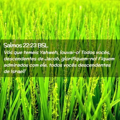 Picture 02 - Salmos 22:23 BSL - Vós que temeis Yahweh, louvai-o! Todos vocês, - Bible Verse Picture