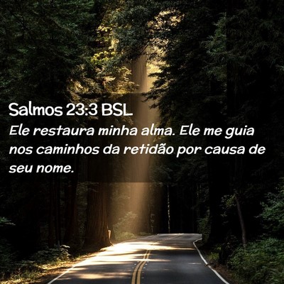Picture 02 - Salmos 23:3 BSL - Ele restaura minha alma. Ele me guia nos caminhos - Bible Verse Picture