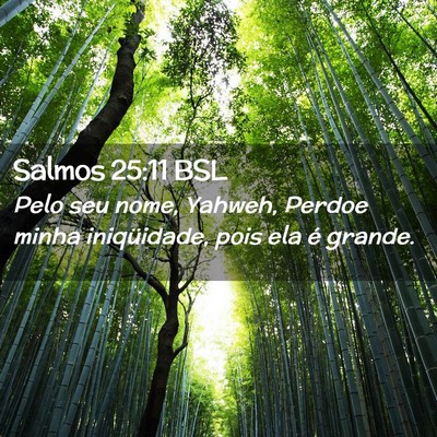 Picture 02 - Salmos 25:11 BSL - Pelo seu nome, Yahweh, Perdoe minha iniqüidade, - Bible Verse Picture