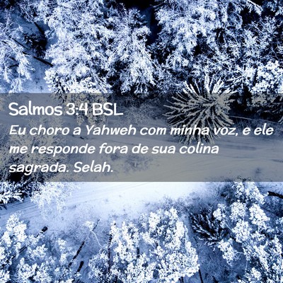Picture 02 - Salmos 3:4 BSL - Eu choro a Yahweh com minha voz, e ele me - Bible Verse Picture