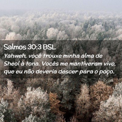 Picture 02 - Salmos 30:3 BSL - Yahweh, você trouxe minha alma de Sheol à tona. - Bible Verse Picture