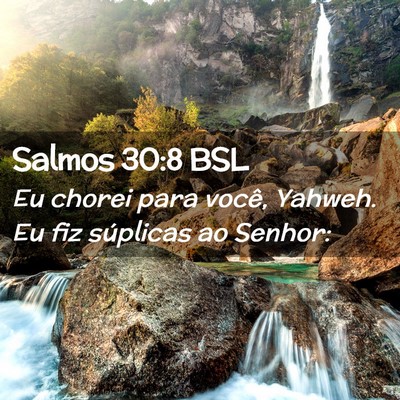 Picture 02 - Salmos 30:8 BSL - Eu chorei para você, Yahweh. Eu fiz súplicas ao - Bible Verse Picture