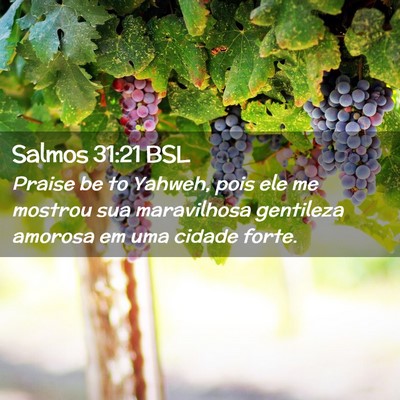 Picture 02 - Salmos 31:21 BSL - Praise be to Yahweh, pois ele me mostrou sua - Bible Verse Picture