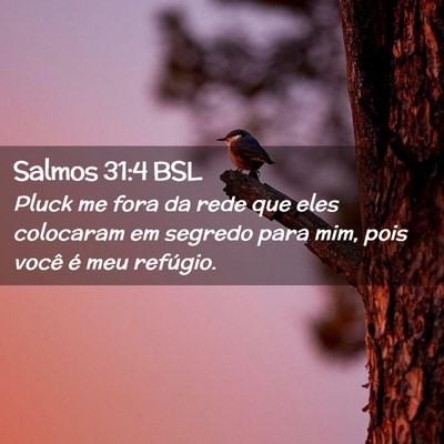 Picture 02 - Salmos 31:4 BSL - Pluck me fora da rede que eles colocaram em - Bible Verse Picture