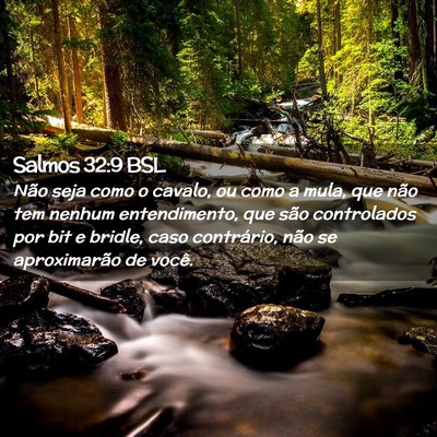 Picture 02 - Salmos 32:9 BSL - Não seja como o cavalo, ou como a mula, que não - Bible Verse Picture