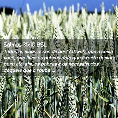 Picture 02 - Salmos 35:10 BSL - Todos os meus ossos dirão: “Yahweh, que é - Bible Verse Picture