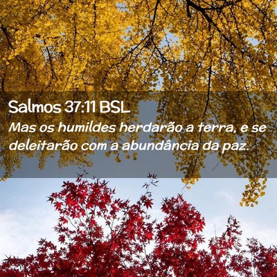Picture 02 - Salmos 37:11 BSL - Mas os humildes herdarão a terra, e se - Bible Verse Picture