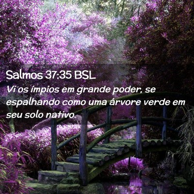 Picture 02 - Salmos 37:35 BSL - Vi os ímpios em grande poder, se espalhando como - Bible Verse Picture