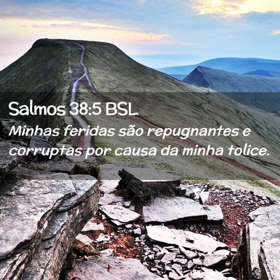 Picture 02 - Salmos 38:5 BSL - Minhas feridas são repugnantes e corruptas por - Bible Verse Picture