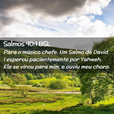 Picture 02 - Salmos 40:1 BSL - Para o músico chefe. Um Salmo de David. I - Bible Verse Picture