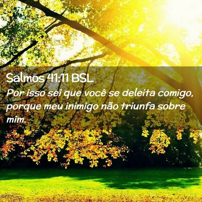 Picture 02 - Salmos 41:11 BSL - Por isso sei que você se deleita comigo, porque - Bible Verse Picture