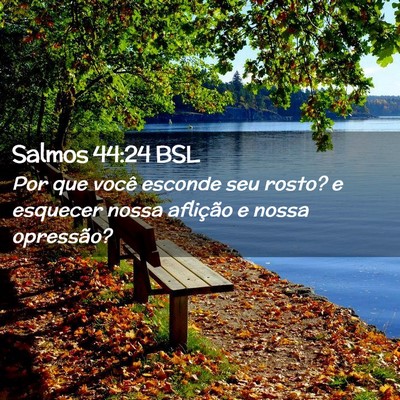 Picture 02 - Salmos 44:24 BSL - Por que você esconde seu rosto? e esquecer nossa - Bible Verse Picture