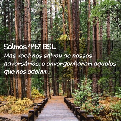 Picture 02 - Salmos 44:7 BSL - Mas você nos salvou de nossos adversários, e - Bible Verse Picture