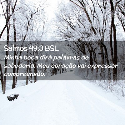 Picture 02 - Salmos 49:3 BSL - Minha boca dirá palavras de sabedoria. Meu - Bible Verse Picture