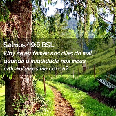 Picture 02 - Salmos 49:5 BSL - Why se eu temer nos dias do mal, quando a - Bible Verse Picture