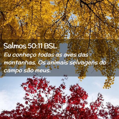 Picture 02 - Salmos 50:11 BSL - Eu conheço todas as aves das montanhas. Os - Bible Verse Picture