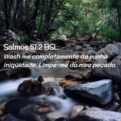 Picture 02 - Salmos 51:2 BSL - Wash me completamente da minha iniqüidade. - Bible Verse Picture