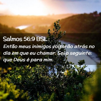 Picture 02 - Salmos 56:9 BSL - Então meus inimigos voltarão atrás no dia em - Bible Verse Picture
