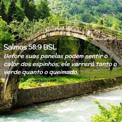Picture 02 - Salmos 58:9 BSL - Before suas panelas podem sentir o calor dos - Bible Verse Picture