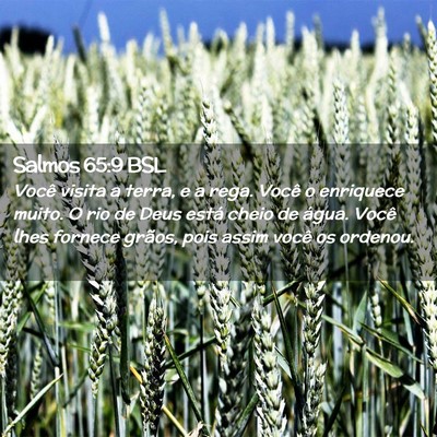 Picture 02 - Salmos 65:9 BSL - Você visita a terra, e a rega. Você o enriquece - Bible Verse Picture