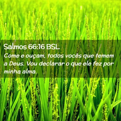 Picture 02 - Salmos 66:16 BSL - Come e ouçam, todos vocês que temem a Deus. Vou - Bible Verse Picture