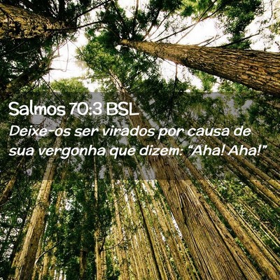 Picture 02 - Salmos 70:3 BSL - Deixe-os ser virados por causa de sua vergonha - Bible Verse Picture