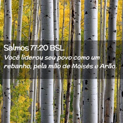 Picture 02 - Salmos 77:20 BSL - Você liderou seu povo como um rebanho, pela mão - Bible Verse Picture