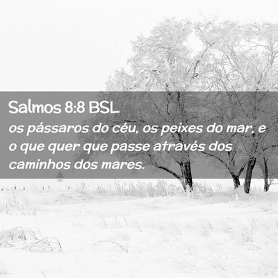 Picture 02 - Salmos 8:8 BSL - os pássaros do céu, os peixes do mar, e o que - Bible Verse Picture