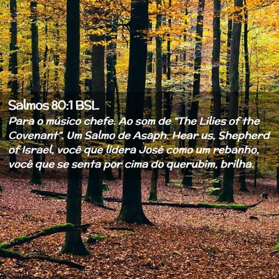 Picture 02 - Salmos 80:1 BSL - Para o músico chefe. Ao som de “The Lilies of - Bible Verse Picture