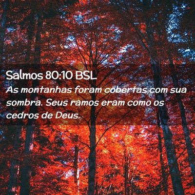 Picture 02 - Salmos 80:10 BSL - As montanhas foram cobertas com sua sombra. Seus - Bible Verse Picture