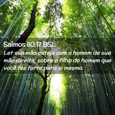 Picture 02 - Salmos 80:17 BSL - Let sua mão esteja com o homem de sua mão - Bible Verse Picture