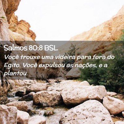Picture 02 - Salmos 80:8 BSL - Você trouxe uma videira para fora do Egito. - Bible Verse Picture