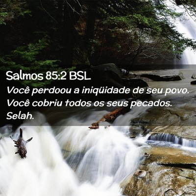 Picture 02 - Salmos 85:2 BSL - Você perdoou a iniqüidade de seu povo. Você - Bible Verse Picture