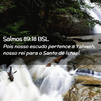 Picture 02 - Salmos 89:18 BSL - Pois nosso escudo pertence a Yahweh, nosso rei - Bible Verse Picture