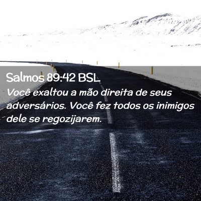 Picture 02 - Salmos 89:42 BSL - Você exaltou a mão direita de seus - Bible Verse Picture
