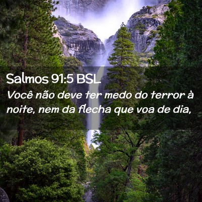 Picture 02 - Salmos 91:5 BSL - Você não deve ter medo do terror à noite, nem - Bible Verse Picture