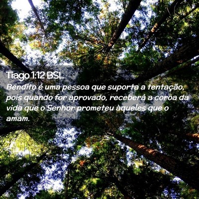 Picture 02 - Tiago 1:12 BSL - Bendito é uma pessoa que suporta a tentação, - Bible Verse Picture