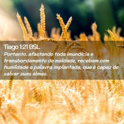 Picture 02 - Tiago 1:21 BSL - Portanto, afastando toda imundícia e - Bible Verse Picture