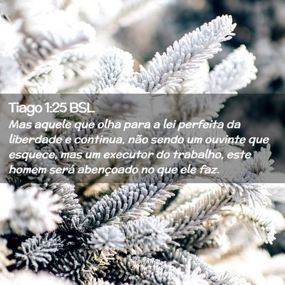 Picture 02 - Tiago 1:25 BSL - Mas aquele que olha para a lei perfeita da - Bible Verse Picture