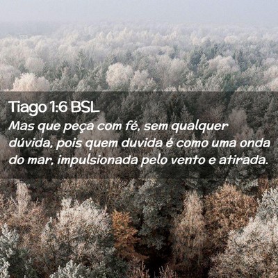 Picture 02 - Tiago 1:6 BSL - Mas que peça com fé, sem qualquer dúvida, pois - Bible Verse Picture