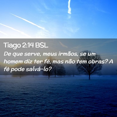 Picture 02 - Tiago 2:14 BSL - De que serve, meus irmãos, se um homem diz ter - Bible Verse Picture