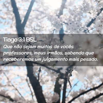 Picture 02 - Tiago 3:1 BSL - Que não sejam muitos de vocês professores, meus - Bible Verse Picture