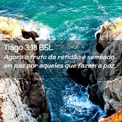 Picture 02 - Tiago 3:18 BSL - Agora o fruto da retidão é semeado em paz por - Bible Verse Picture