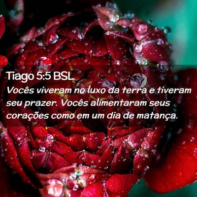 Picture 02 - Tiago 5:5 BSL - Vocês viveram no luxo da terra e tiveram seu - Bible Verse Picture