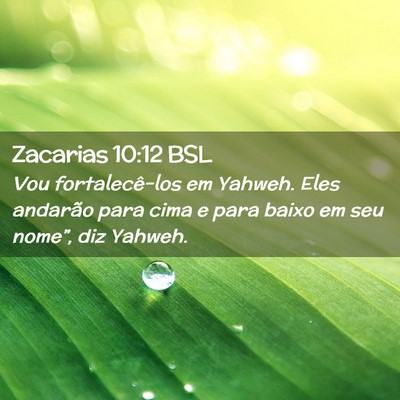 Picture 02 - Zacarias 10:12 BSL - Vou fortalecê-los em Yahweh. Eles andarão para - Bible Verse Picture